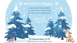 Wildlife In Winter
