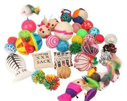variety of cat toysの画像