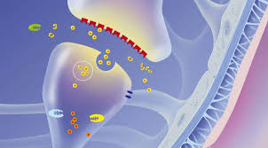 Vitamin b12 modulates parkinson's disease lrrk2 kinase activity. Parkinson Auf Die Prodromalsymptome Achten Neurodegenerative Erkrankung
