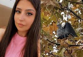 Kahreden çanta! 6 gün sonra 10 metre ilerdeki ağaçta buldular