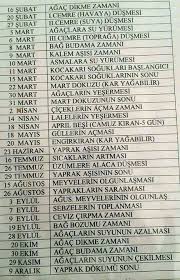 Pratik Bilgiler Bahce Tasarim Fikirleri Organik Bahcecilik Bitki