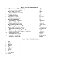 Nov 21, 2009 · d. Soal Kunci Determinasi Tumbuhan Kls X Jawabanku Id