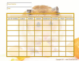 Hamster Chore Chart Hamster Care Hamster Cages Russian