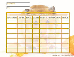 hamster chore chart hamster care hamster cages russian