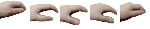 What i'm referring to is this type of gif's. Petpet Generator