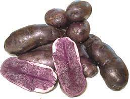 Russian Blue Eagle Creek Seed Potatoes