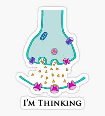 Colección de sofia • última actualización: Hormones Sticker Sheet Sticker By Bumpybrains Medical Stickers Aesthetic Stickers Sticker Sheets