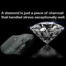 Motivational pressure makes diamonds quote. Quotes About Diamond And Pressure 43 Quotes