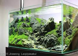 Nano Aquascape Unconditional Love Jirawong Laopiyasakul Aquajaya In 2021 Aquascaping Aquarium Air Tawar Ikan Akuarium