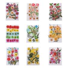 We did not find results for: Buy 25pcs Multiple Mixed Natural Real Pressed Dried Flowers Leaves Diy Crafts At Affordable Prices Free Shipping Real Reviews With Photos Joom
