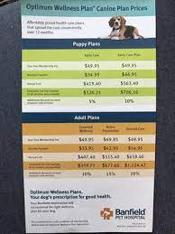 Banfield Pet Hospital Updated Covid 19 Hours Services 22 Photos 75 Reviews Veterinarians 7315 N Figueroa Eagle Rock Los Angeles Ca Phone Number Yelp