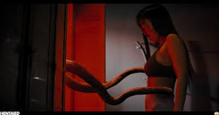 Mr. Tentacle Porn — SUSANNAH BRESLIN