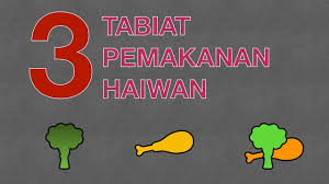 Semua hidupan di alam ini boleh membiak. Sains Tahun 3 Tabiat Pemakanan Haiwan Cikgootube Cikguzoul Youtube