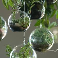 Several Round Hanging Glass Containers With Sircular Openings Filled With Various Hanging Air Pl In 2020 Hanging Glass Terrarium Hanging Terrarium Beautiful Terrariums