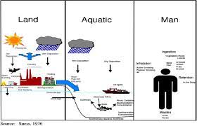 A Review On Polycyclic Aromatic Hydrocarbons Source Environmental Impact Effect On Human Health And Remediation Sciencedirect