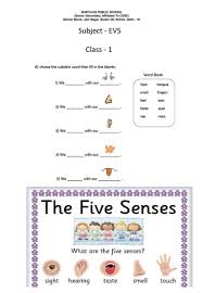 3rd grade worksheet for class 3 evs. Evs Class 1 Online Classes Cbse Worksheets 2020 21 Ncert Books Solutions Cbse Online Guide Syllabus Sample Paper
