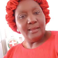 Dear the Francistown Leadership; His worship Godisang Radisigo, Hon  Minister Buti Billy, Hon Wynter Mmolotsi, Hon Ignatius Moswaane, This  morning you are accorded the opportunity to engage with the VP