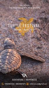 Turtle Festival At Velas Festival Festival Dates New Journey