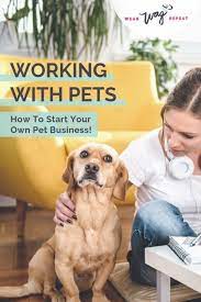 Pin On Cbd For Pets