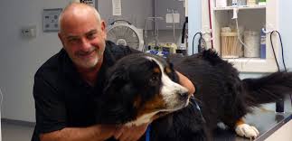 1255 south milford road highland, mi 48357 phone: Highlands Animal Hospital Veterinarian In Sebastian Fl Home