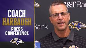 Baltimore Ravens 'Fan of the Year'