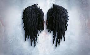 Нэйтан хоуп, луис шоу милито, эгил эгилссон. Schwarz Und Weiss Lucifer Verletzt Blut Engel Flugel Bild Anime Poster Und Drucke Wand Kunst Malerei Auf Leinwand Zimmer Decorarion Painting Calligraphy Aliexpress