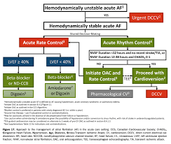 Image result for Ventricular Fibrillation Management in the Adult