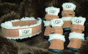 Puppy Uggs For Chloe Puppy Clothes Dog Accessories Dog