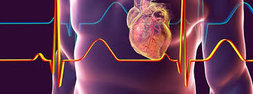 During an average lifetime, a … Heart Disease Coronary Artery Disease Quiz Symptoms Risk