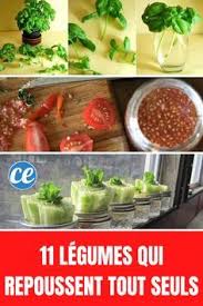 11 Fruits Et Legumes Que Vous Ne Devriez Acheter Qu Une Seule Fois Dans Votre Vie Si Vous Connaissez Ces Astuces En 2020 Fruits Et Legumes Planter Des Legumes Idee Legume