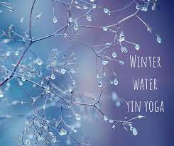 The long dark days of winter can lend themselves to physical stagnation, fatigue, and hibernation. Online Yoga Classes Liina Yoga