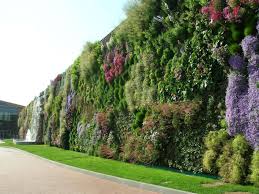 Shopping In Rozanno Italy World S Largest Vertical Garden 1604 Large Vertical Garden Vertical Garden Wall Verticle Garden
