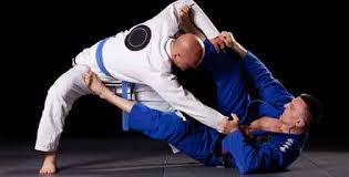 Welcome to lin martial arts! Brazilian Jiu Jitsu Bjj History And Facts Caminhos Language Centre