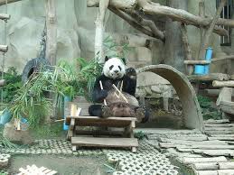 رحلة إلى حديقة حيوانات شنغماي ام القرى