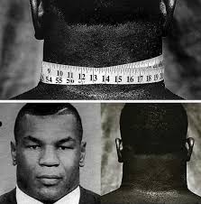 Bronx zoo's most dangerous animal exhibit