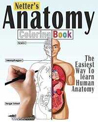Download Netter S Anatomy Coloring Book Abebooks