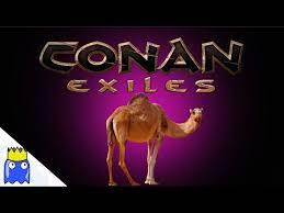 A complete guide to all animal locations in conan exiles, including horses. Conan Exiles How To Get A Pet Camel 2019 Youtube