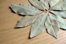Bay leaves come from several plants, such as: Bay Laurel Leaf Anthony The Spice Maker