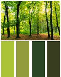 Awesome Nature Color Palette Outdoorsy And Natural Paleta