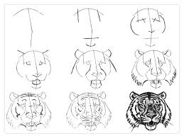 Let's draw a tiger with a pencil in motion. Pin On Win Lose Or Draw
