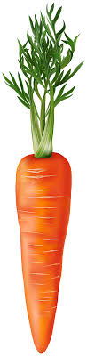 Download carrot clipart stock vectors. Fresh Carrot Png Clipart Gallery Yopriceville High Quality Images And Transparent Png Free Clipart