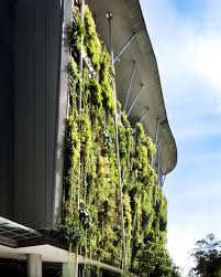 Vertical Garden Menara Felda Kuala Lumpur Vertical Garden Kuala Lumpur Photo