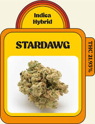 Stardawg Strain - Kush House