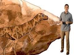 Lesothosaurus is an omnivorous ornithischian dinosaur. Dinosaur Discoveries Lesothosaurus Dinosaur Train Pbs Learningmedia