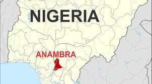Anambra 2017: ACD produces female flag bearer - Latest Nigeria News,  Nigerian Newspapers, Politics