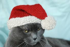 Free knitting pattern for an chunky cable beanie. Cats Love Hats Free Patterns To Knit And Crochet Grandmother S Pattern Book