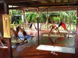 Unique & safe experiences with free cancellation. 8 Days Tropical Yoga Retreat In Jamaica Bookyogaretreats Com