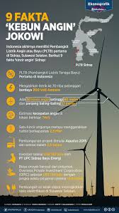 Sebagian pengunjung tetapnya adalah masyarakat indonesia. 9 Fakta Kebun Angin Jokowi Infografik Katadata Co Id