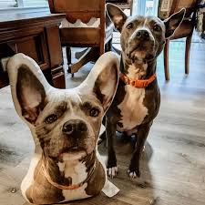 Check spelling or type a new query. 25 Best Personalized Pet Gifts For 2021 Gift Ideas For Dog Cat Lovers