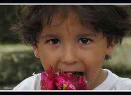 fatima Araujo de chiara